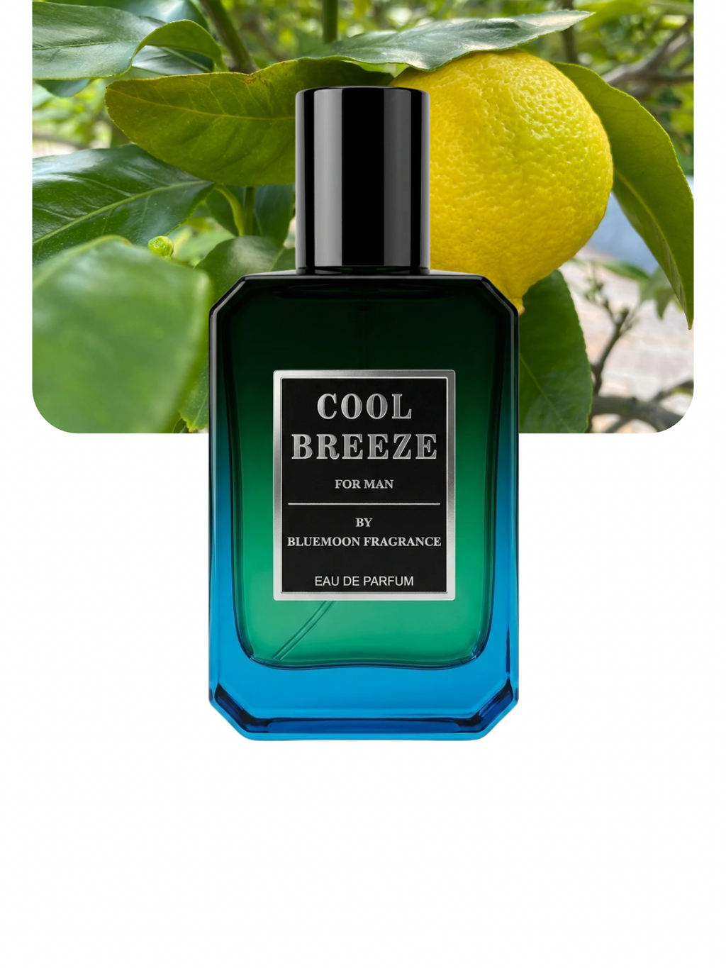 Cool Breeze — Cool & Calm — Summer's Best Fragrance For Men In Pakistan