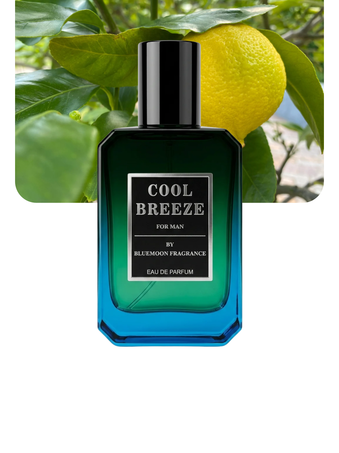 Cool Breeze — Cool & Calm — Summer's Best Fragrance For Men In Pakistan