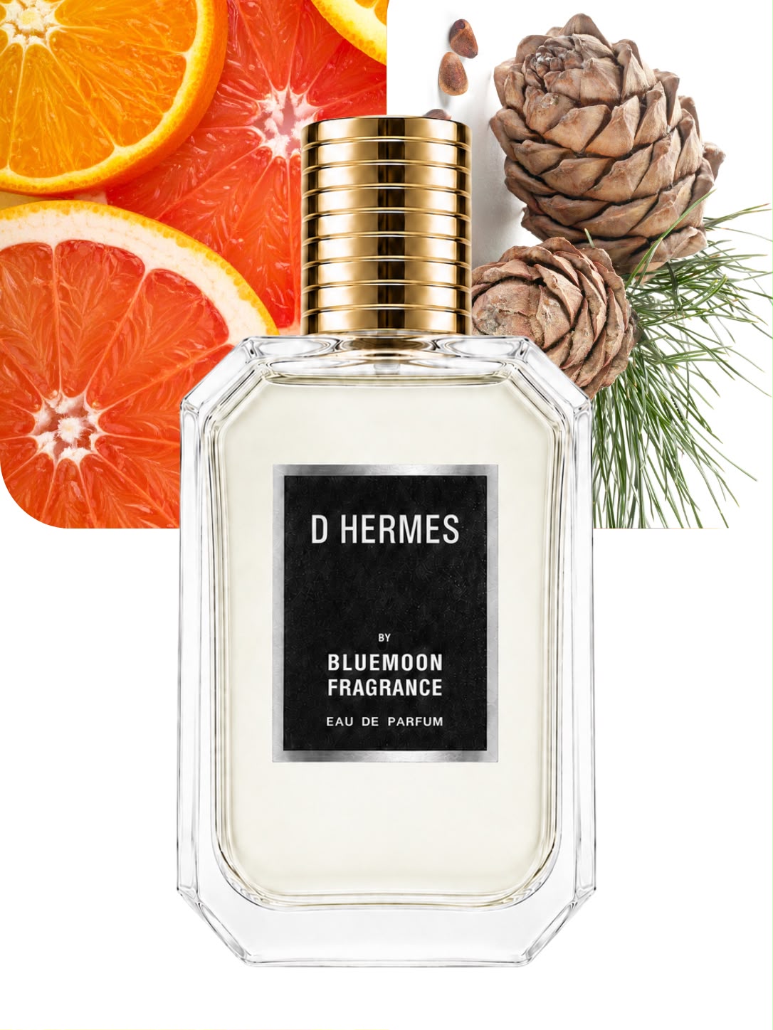 D Hermes Inspired by Terre d’Hermès Premium Perfume for Men in Pakistan