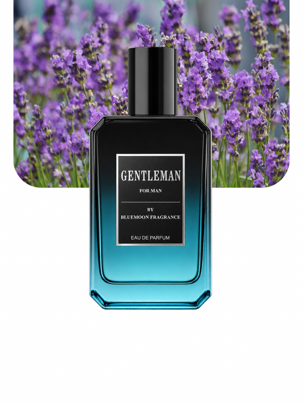 Gentleman EDP - Long Lasting Fresh Summer Perfume for Men | BlueMoon Fragrance