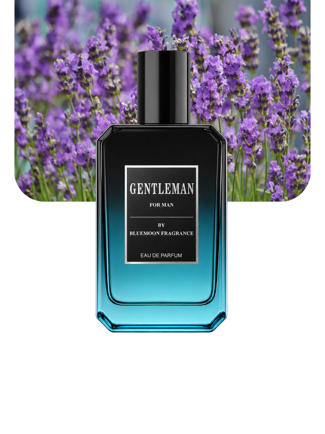 GENTLEMAN BEST SELLING PERFUME FOR MEN IN PAKISTAN