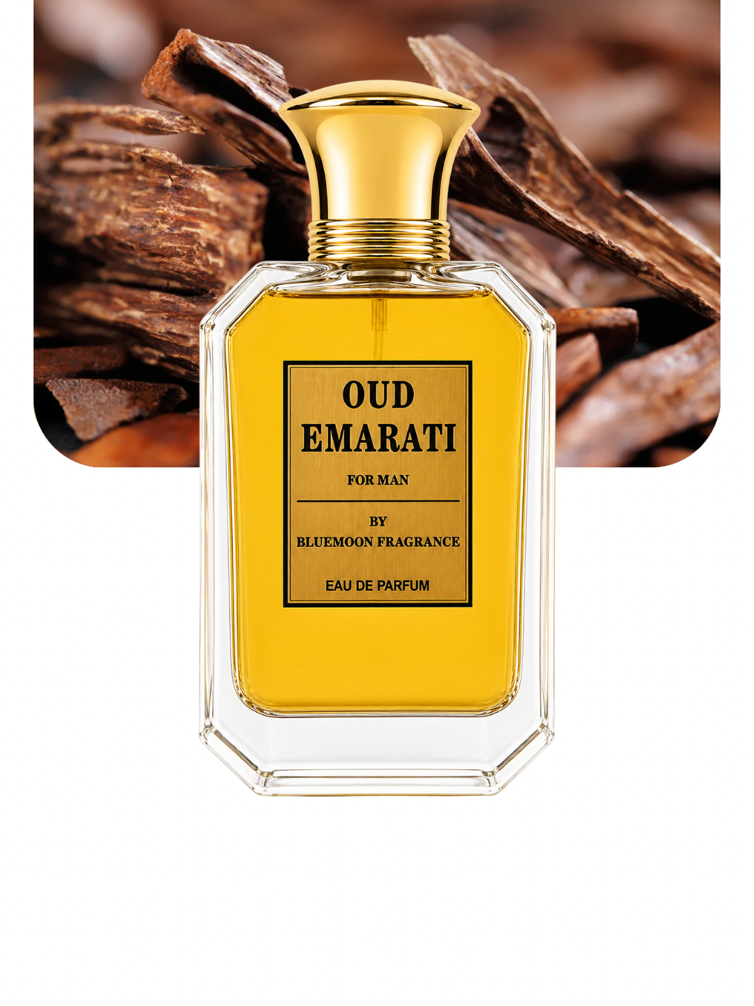 Oud Emarati – Intense Smoky Oud Perfume for Men in Pakistan