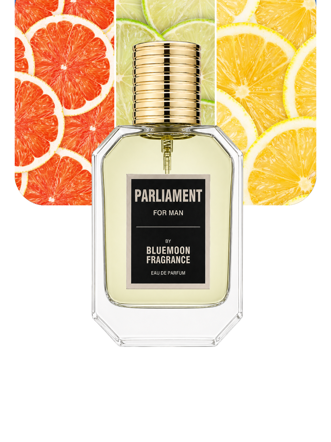 PARLIAMENT BEST SELLING PERFUME FOR MEN LONG LASTING FRAGRANCE
