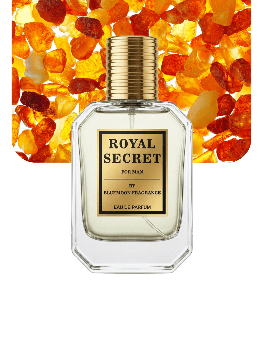Royal Secret – Long Lasting Perfume for Men in Pakistan | Trending Best Seller