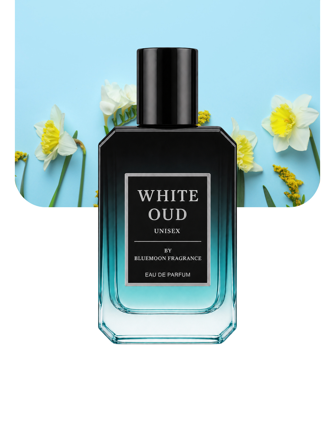 White Oud – Best Selling Long Lasting Oud Perfume in Pakistan